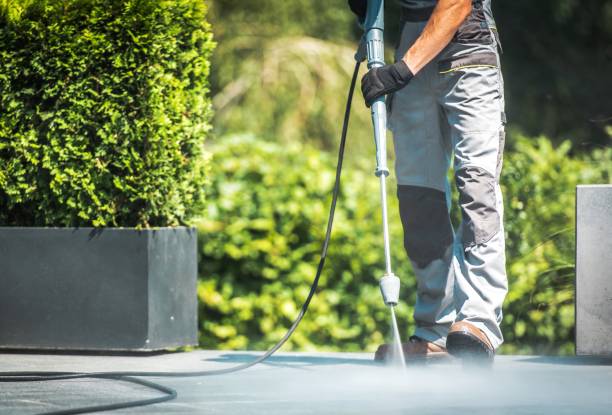 Best Spring Cleaning  in Jackson, MI