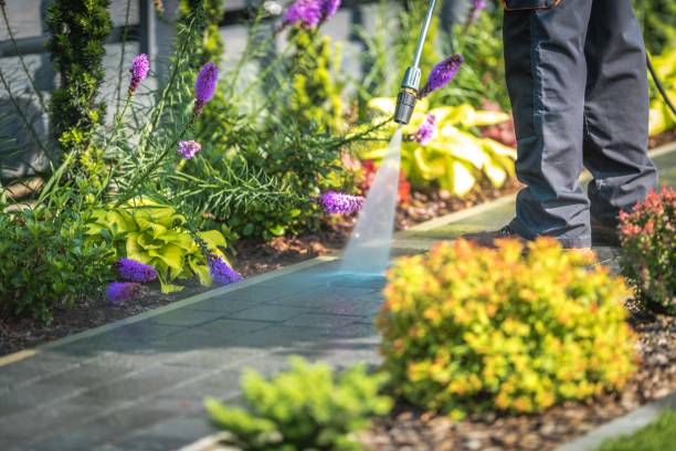 Best Spring Cleaning  in Jackson, MI