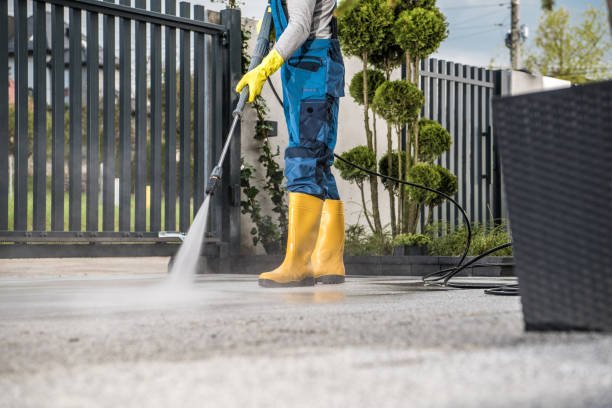 Best Fence Cleaning  in Jackson, MI