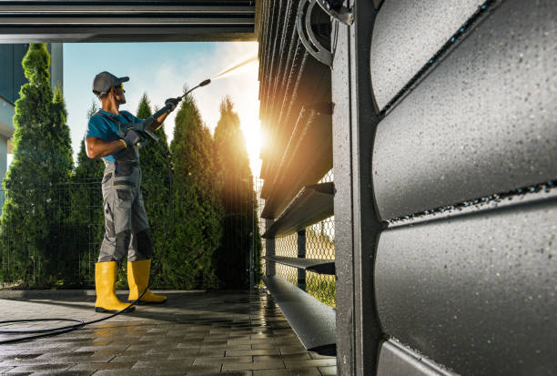 Best Dumpster Area Cleaning  in Jackson, MI